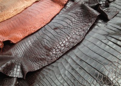 Exotic leather